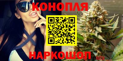 ПСИЛОЦИБИНОВЫЕ ГРИБЫ Бийск